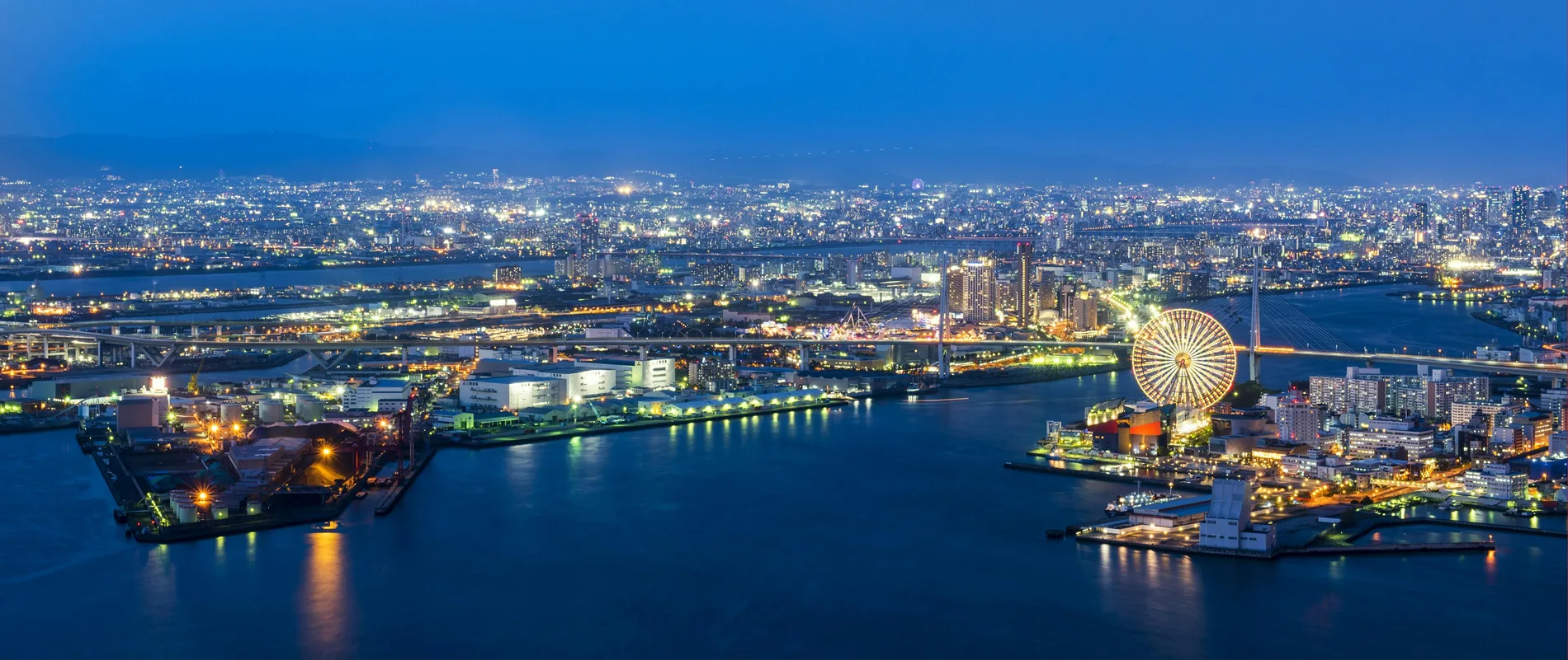 Pharmaceuticals, Medical Device, Bio-Tech